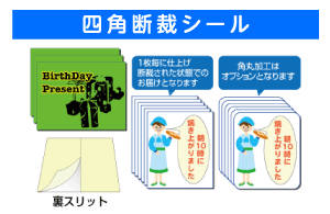 �Z�[���@�V�[������@�a���V�[�����Ή�